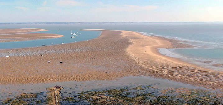 Croisi�re Phare de Cordouan, Visite Phare de Cordouan, Promenades en mer, Croisi�res Royan, Estuaire de la Gironde, Talmont, Meschers, Catamaran Voile, Croisi�re Voile, Croisi�re d�ner.
